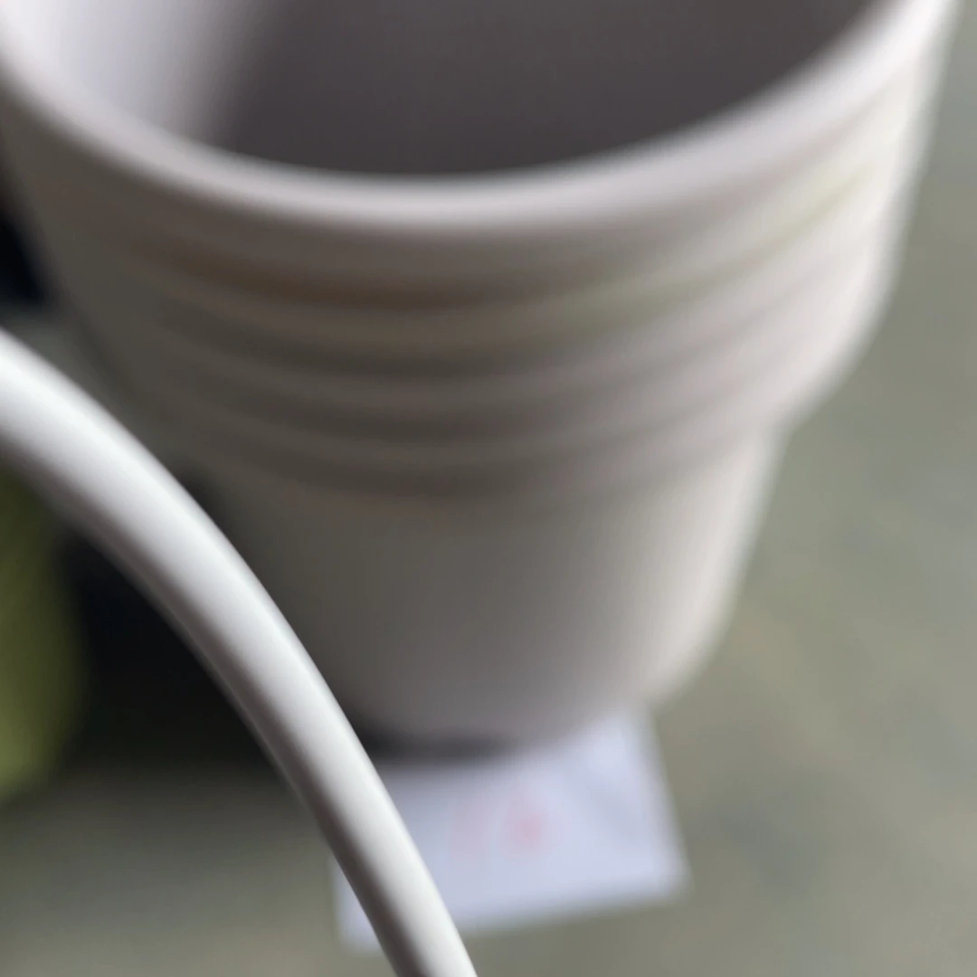 编号是12号的12号的