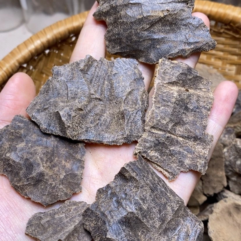 【闪购商品】香榧木海南大山10克