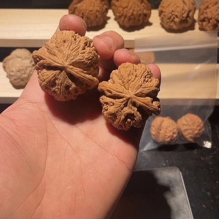 大粗筋狮子头45全品无修