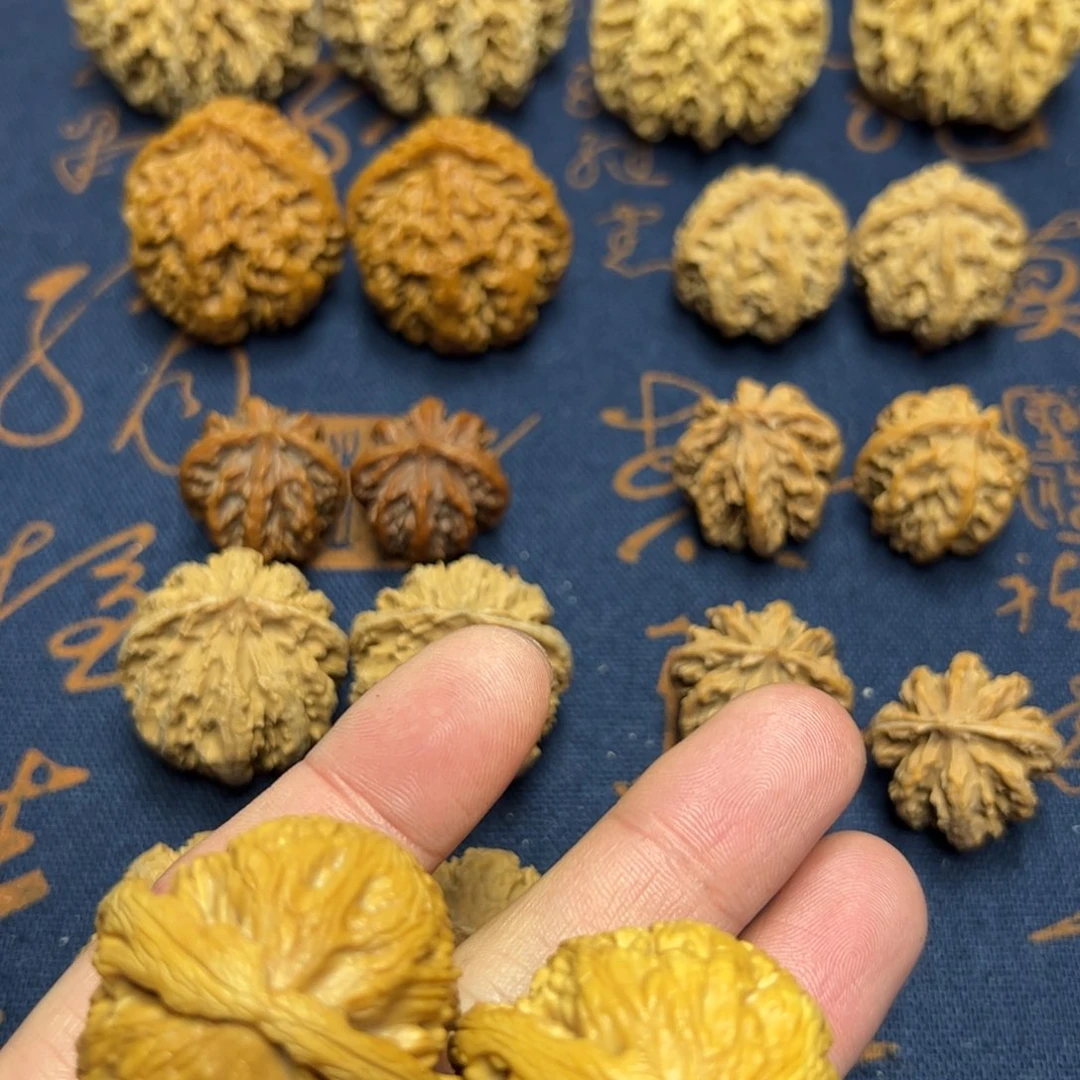 文玩核桃把件秦岭野生植物核桃