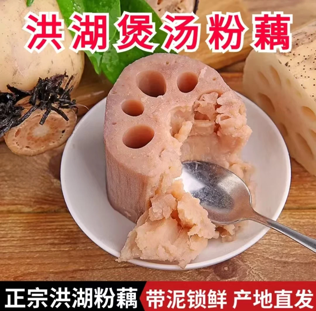 洪湖莲藕洪湖煲汤粉藕