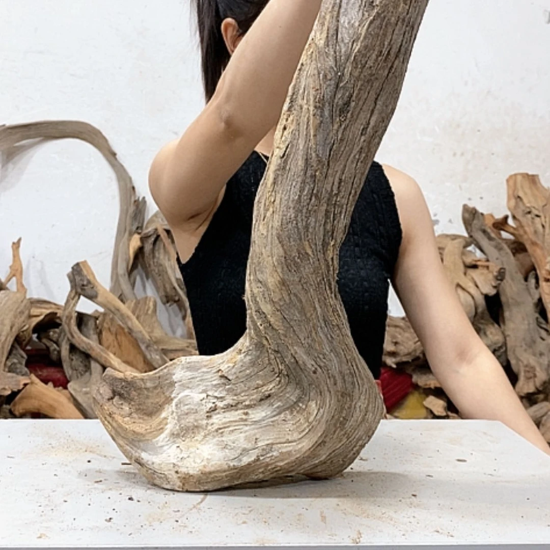 【闪购商品】柏木?****?我们都是好孩子啊