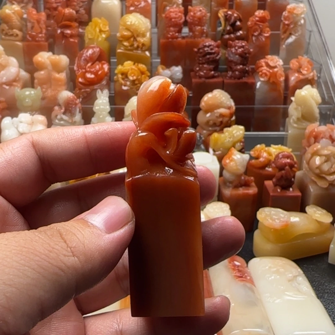 老挝石玉兰   2.1×7.3