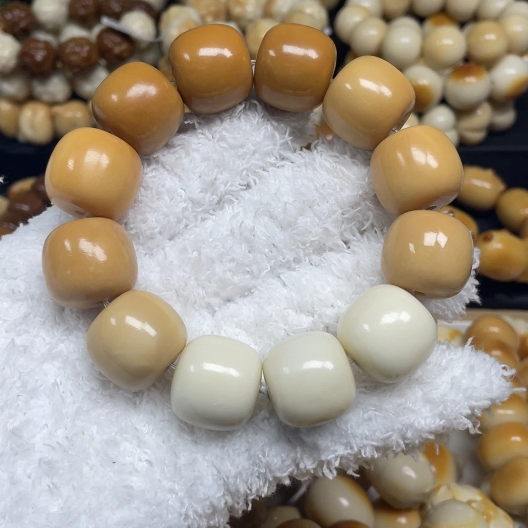 菩提根/象牙果手串12.16.29瑕桶