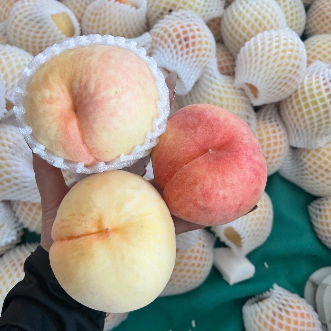 顺丰可选放不软脆桃鲜应季脆甜水蜜桃坏果包赔现摘现发白粉随机发