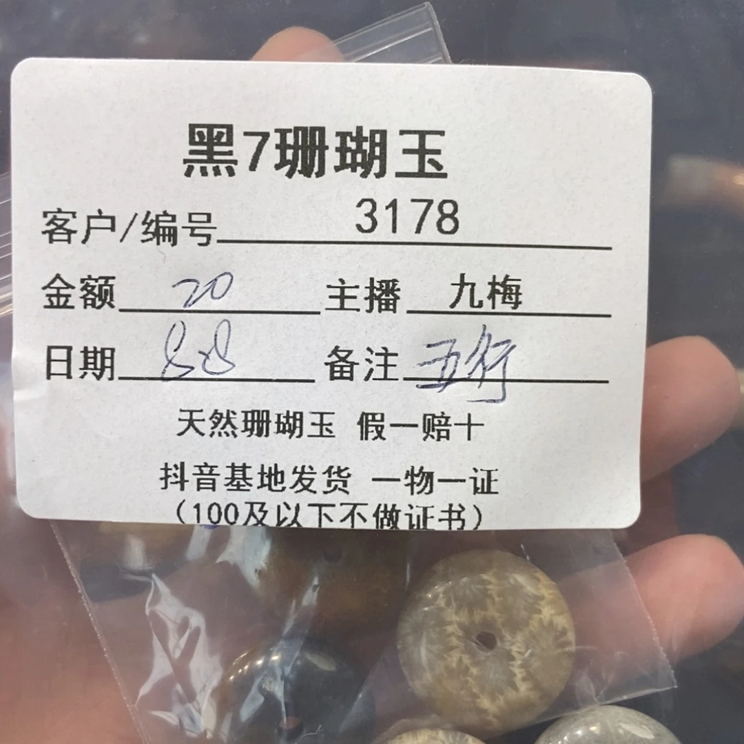 硅化珊瑚（珊瑚玉）未镶嵌颈饰五*