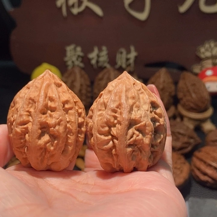 木质类聚核财婉楸121