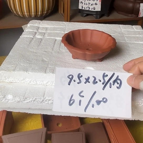 小***树宜兴紫砂花盆六个