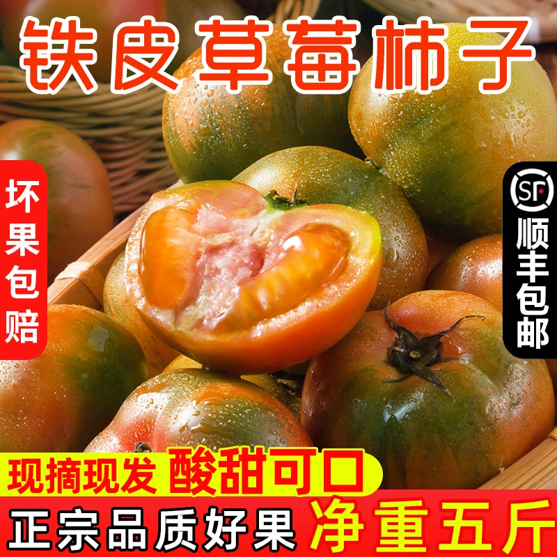 盘锦碱地柿子草莓柿子铁皮柿子盐碱地柿子番茄老少皆宜5斤