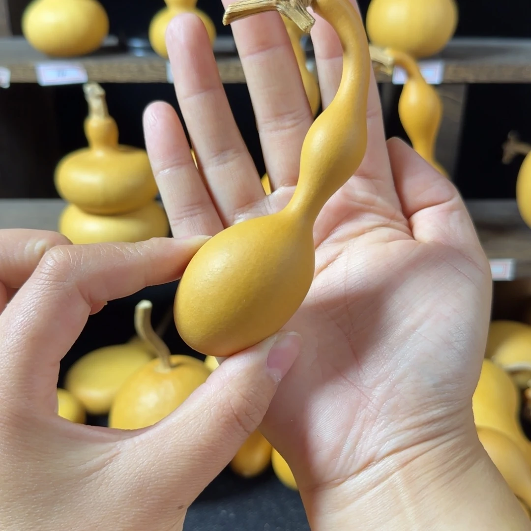 张***彩葫芦葫芦葫芦葫芦葫芦葫芦