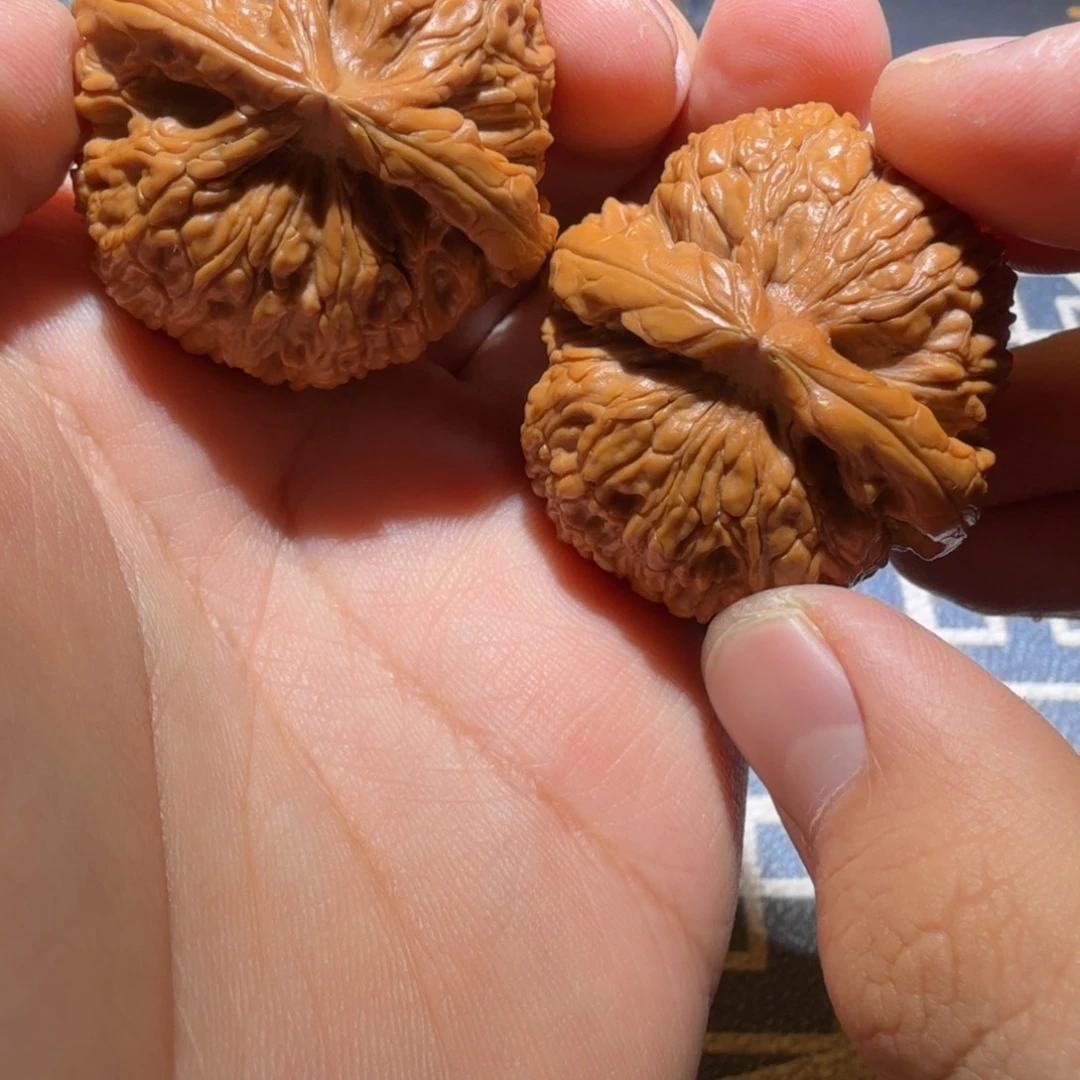 東***尘文玩核桃把件蛟龙