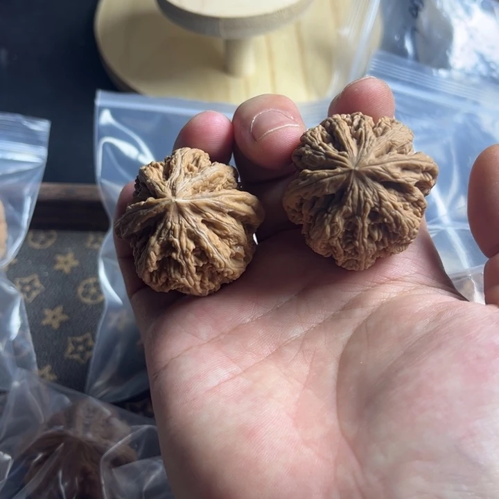 桃核吊坠全品大粗筋