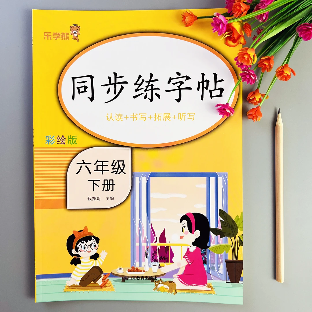语文同步练字帖六年级下册练字帖人教版语文课本同步字帖规范书写