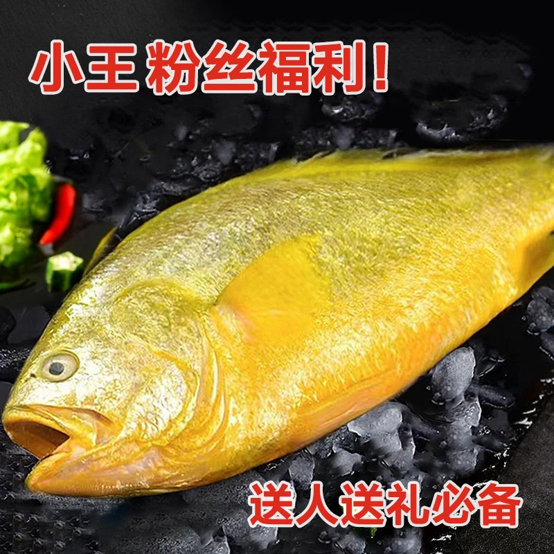 【中秋必备】1.9斤到2.1斤/条海捕半野生黄花鱼鲜活速冻独立包装