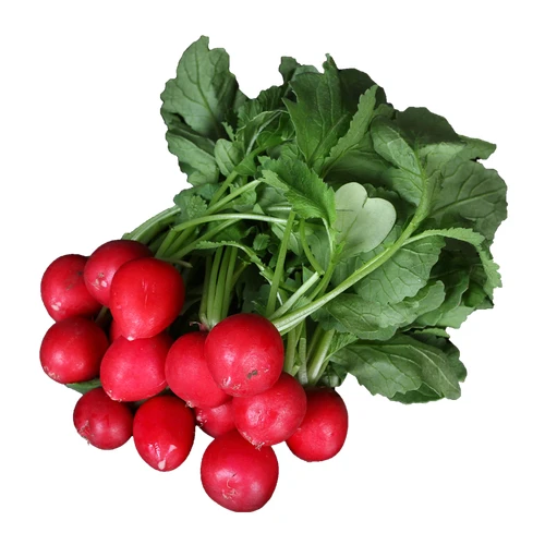 东北蘸酱菜小萝卜菜 蘸酱菜混搭 顺丰包邮