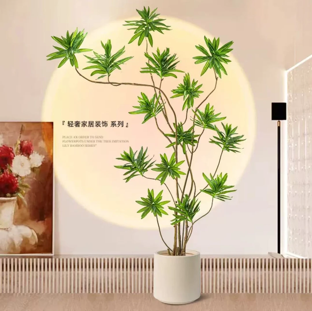 百合竹客厅造型绿植室内大型落地式大盆栽办公室四季常青真花植物