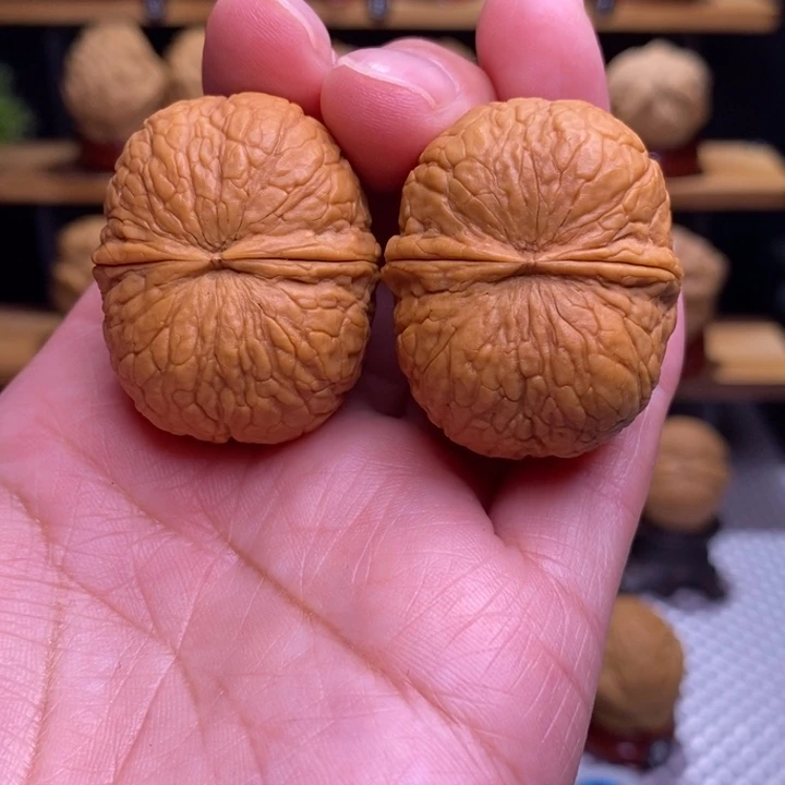 木质类云铁落宝12号