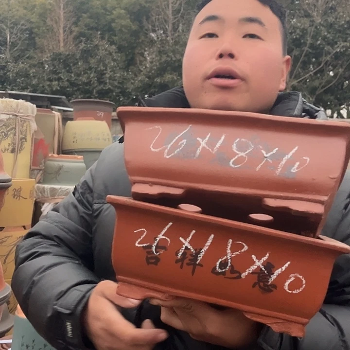 紫砂紫砂花盆盆栽