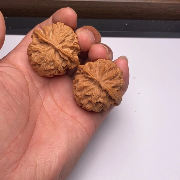 苹果园狮子头40尺寸
