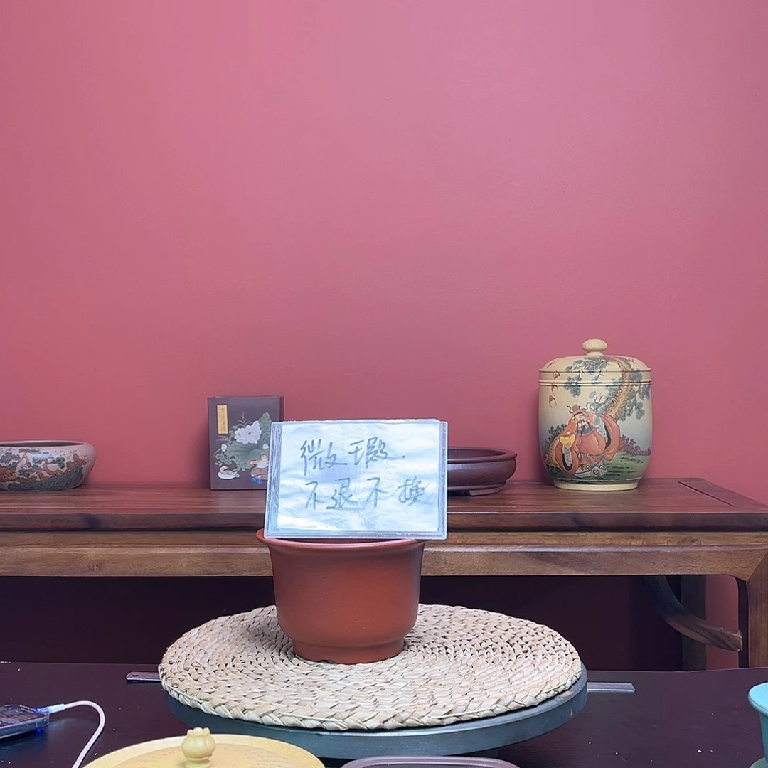 紫砂花盆天***z微瑕大红袍