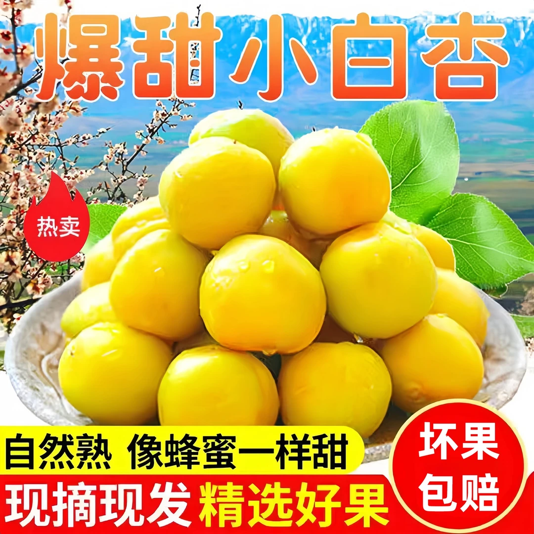 山东小白杏珍珠油杏同新疆小白杏新鲜应季水果带箱3斤