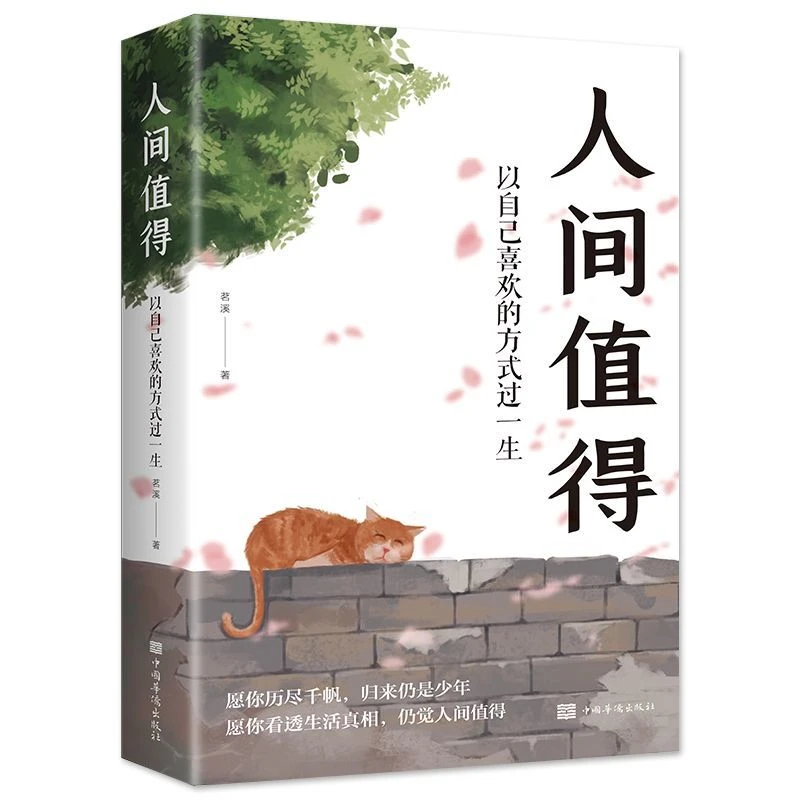 【人间值得】 以自己喜欢的方式过一生人生正能量成长心灵疗愈书籍