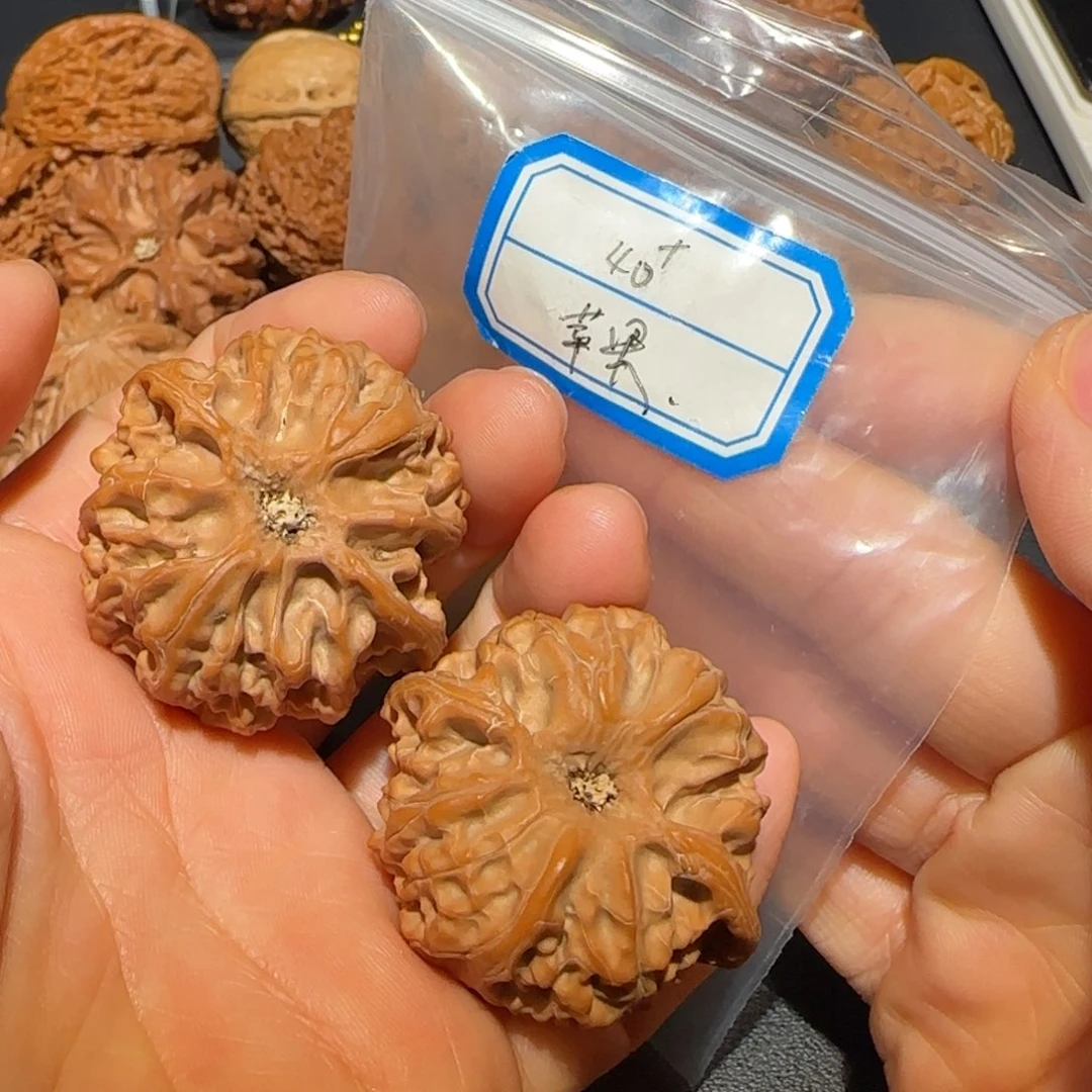 飞飞飞飞飞飞飞飞