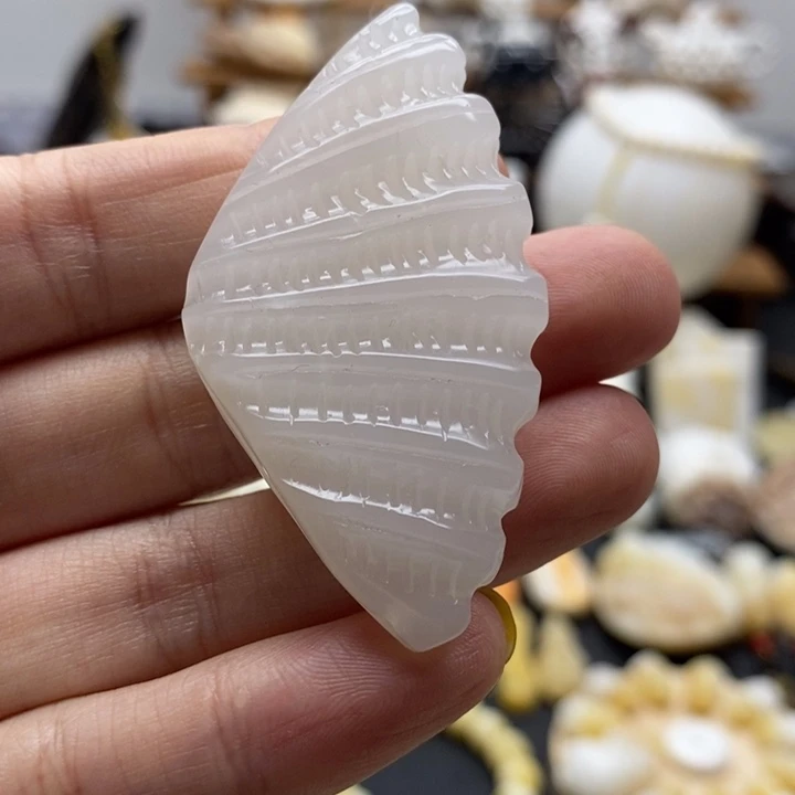贝壳非金属全品玉化扇贝