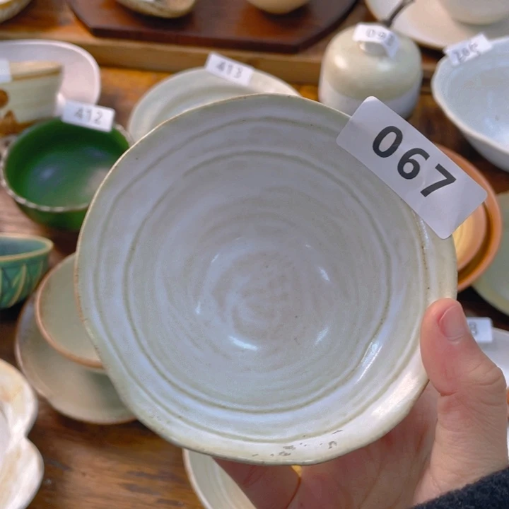 景德镇陶瓷学院等单位的专家