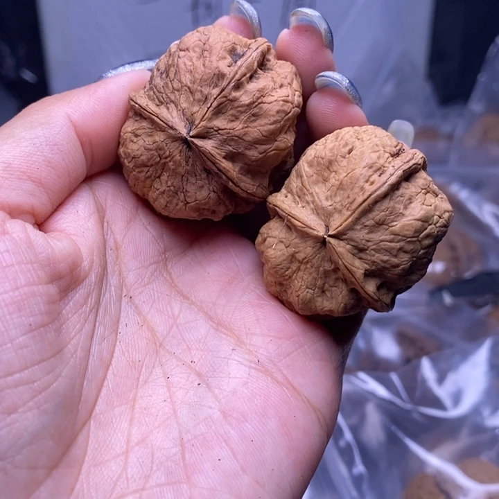 文玩核桃把件云南野生铁核桃5号39mm