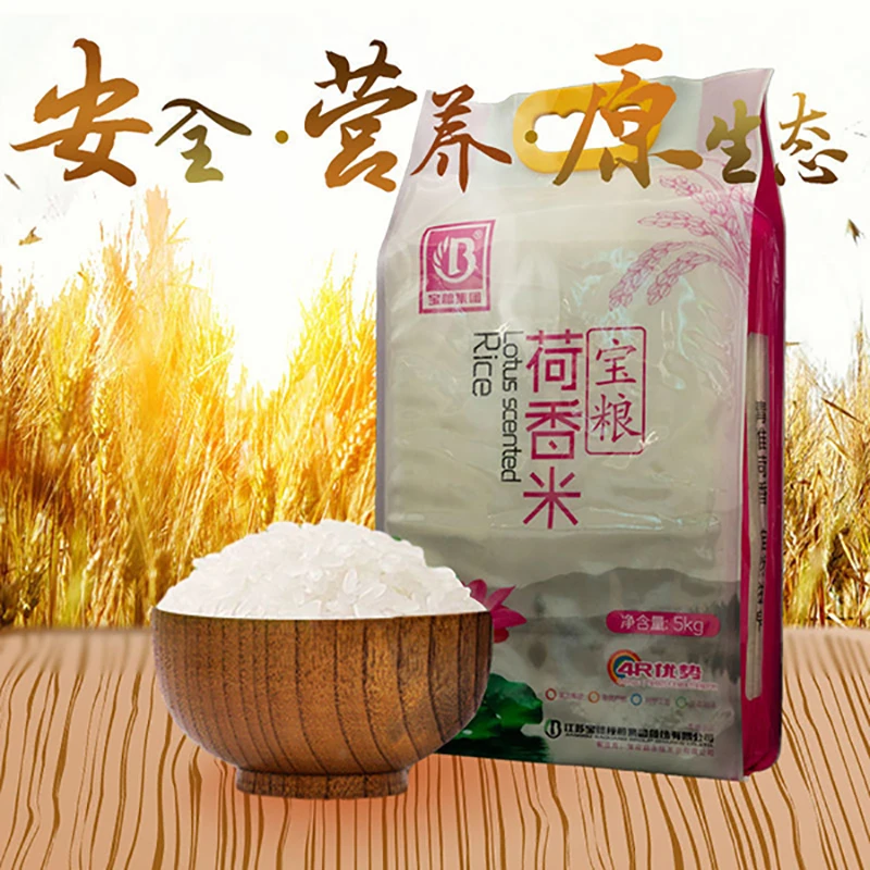 正宗苏北宝粮荷香生态米真空大米2024新米南粳9108宝应特产