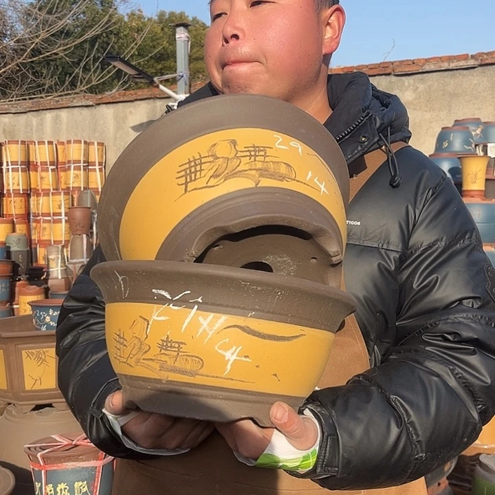 紫砂紫砂花盆盆栽