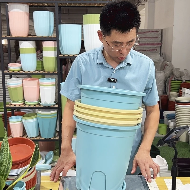 圆形控根口24高24混色5只带托