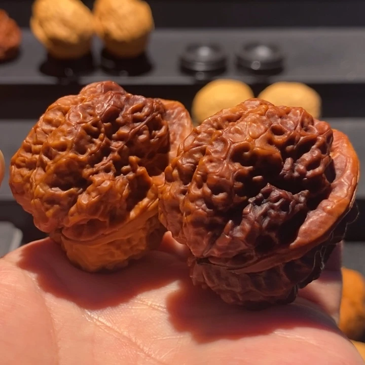 文玩核桃把件40尺古柏金蟾