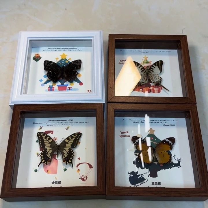 有机玻璃蝴蝶标本蝴蝶标本