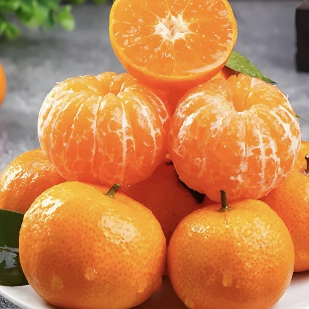 【超值新品】高山生态冰糖橘 薄皮无籽爆汁蜜橘 当季新鲜甜橘整箱
