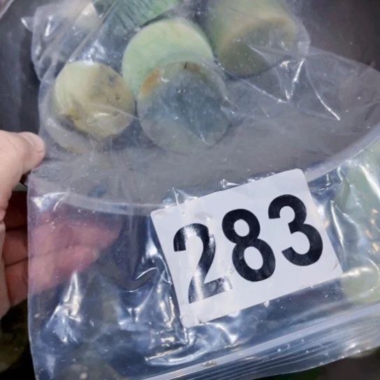 蛇纹石玉未镶嵌珠宝奇石