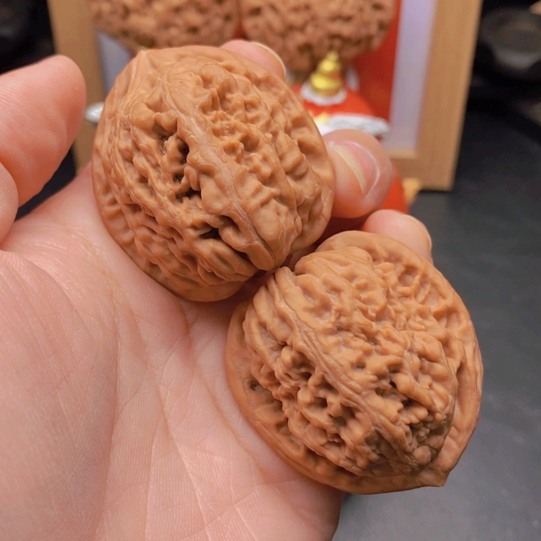 39尺凤凰台老树全品