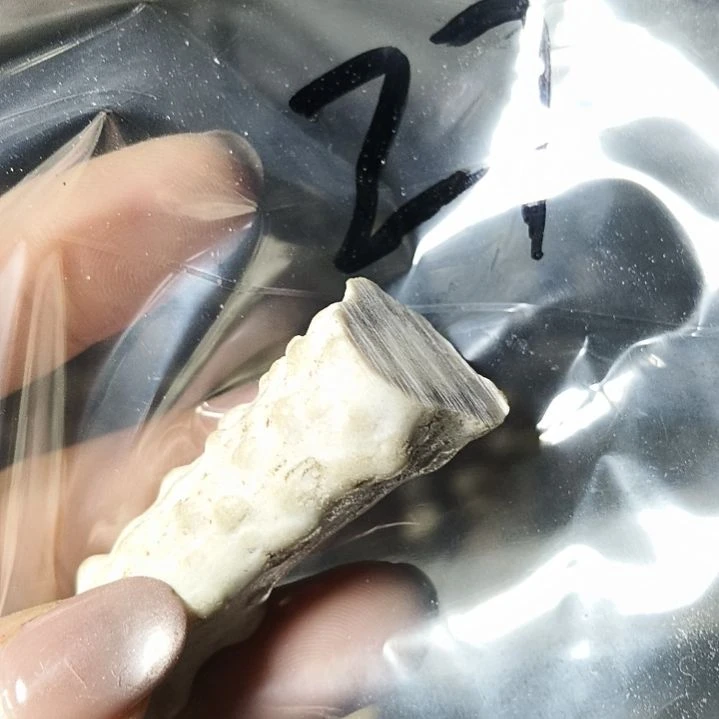 倒***子非金属无鹿角鹿角鹿角