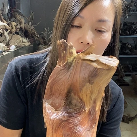 文玩核桃吊坠浮**梦哈哈哈哈哈哈哈哈哈哈