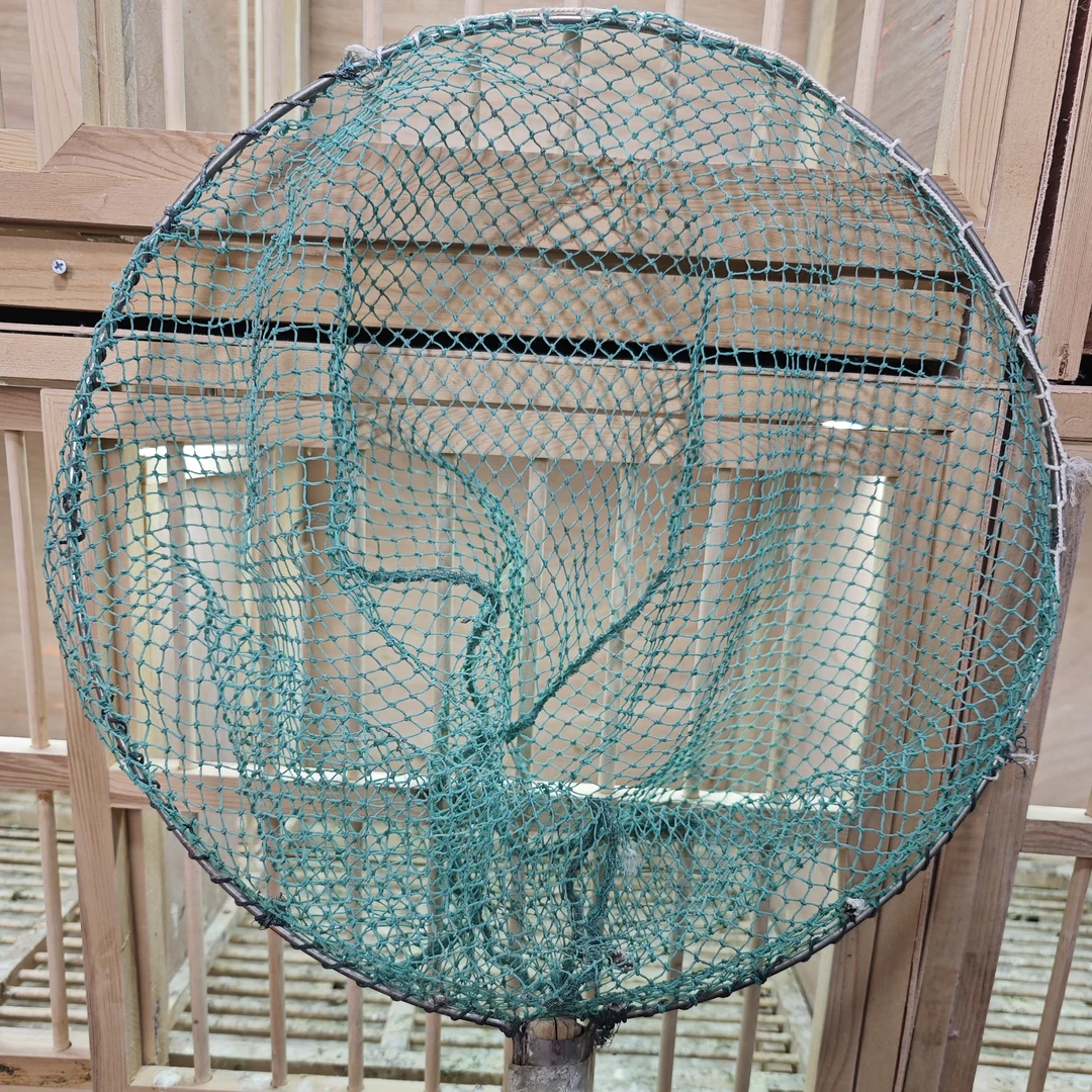 大力马手工编织抄网捞鱼速干不挂钩粗眼网兜渔具
