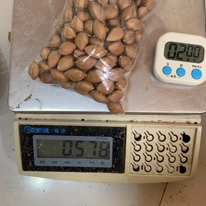 吊坠橄榄核青*檬這個問題