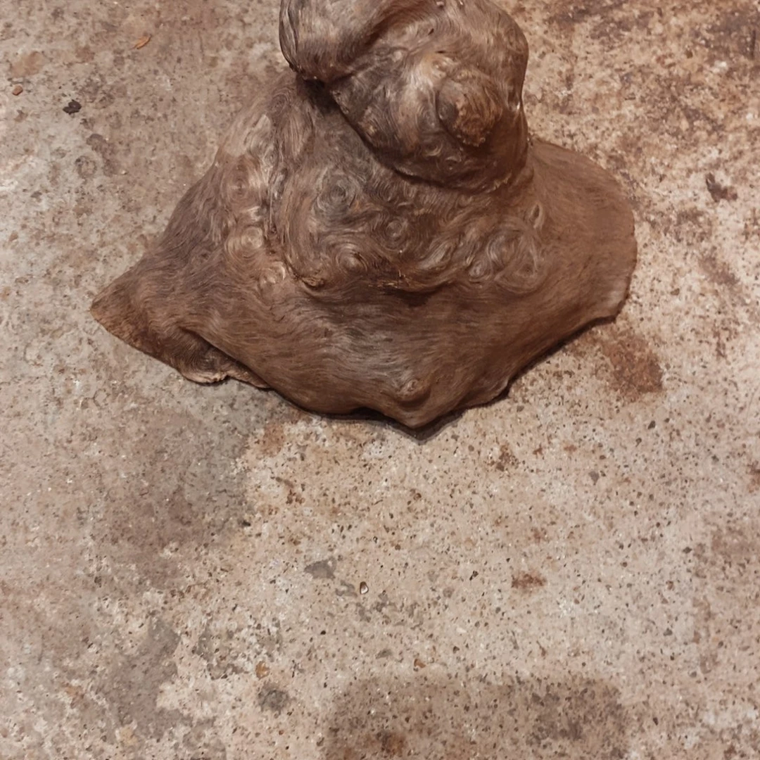 獬***豸荔枝木随形木材一个