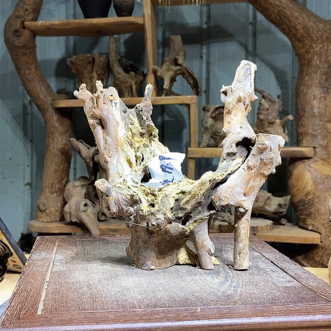 小叶赤楠枯木摆件