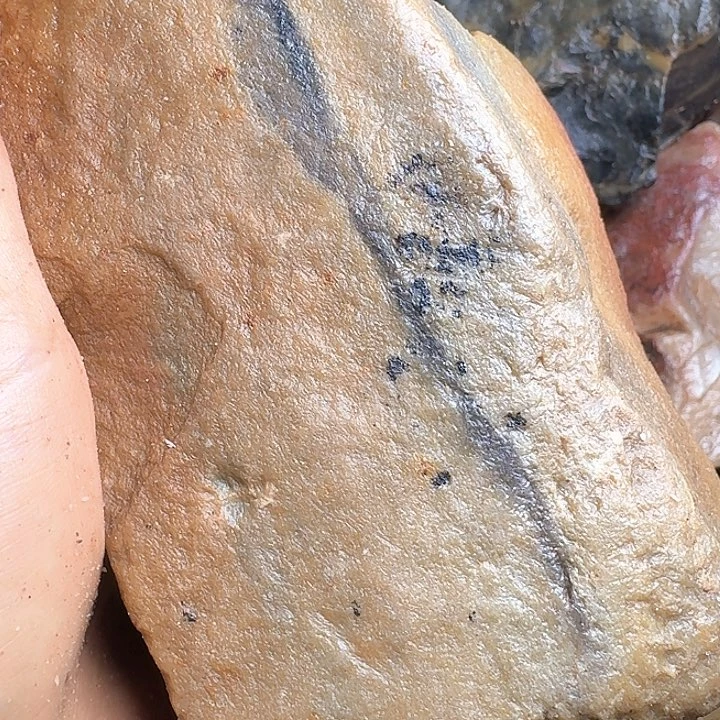 回***望寿山石寿山石的颜色