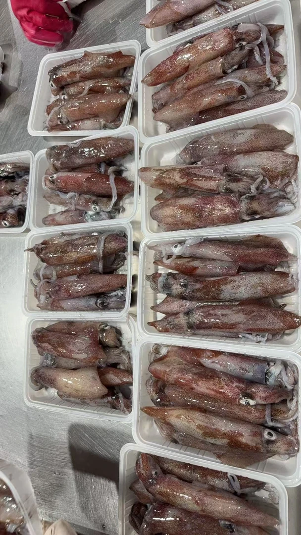【集胜味】手钓鱿鱼(一斤6个左右5成有带饭)