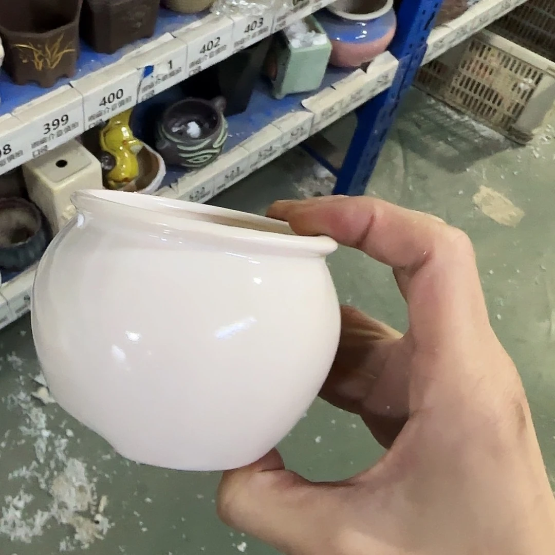 福利局绿植多肉盆［凑9元包邮24小时发］273