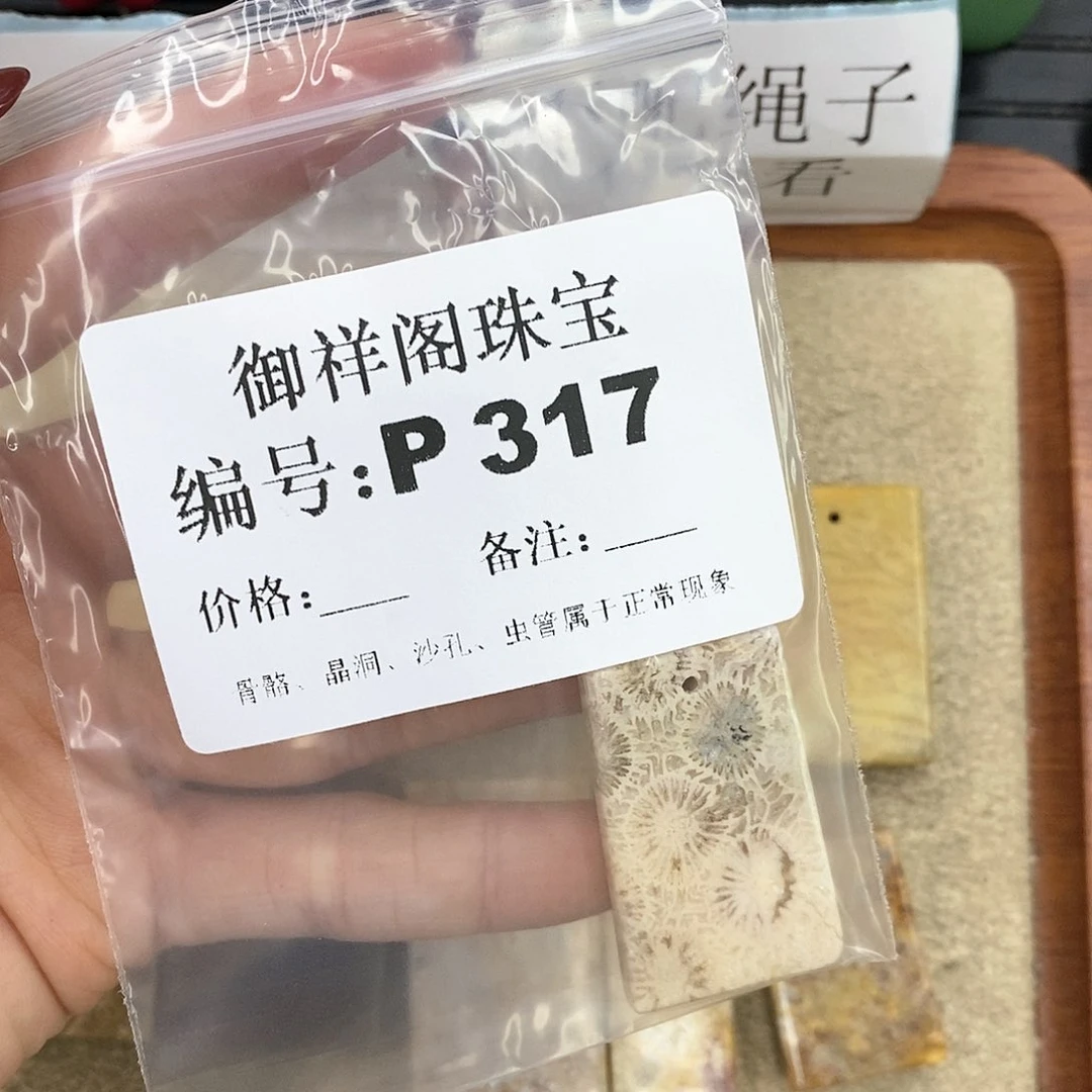 硅化珊瑚（珊瑚玉）P未镶嵌元*