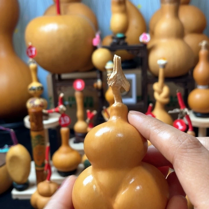 A***趣不是为了取悦他人去追求任何