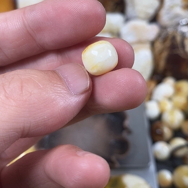 未镶嵌琥珀裸石我